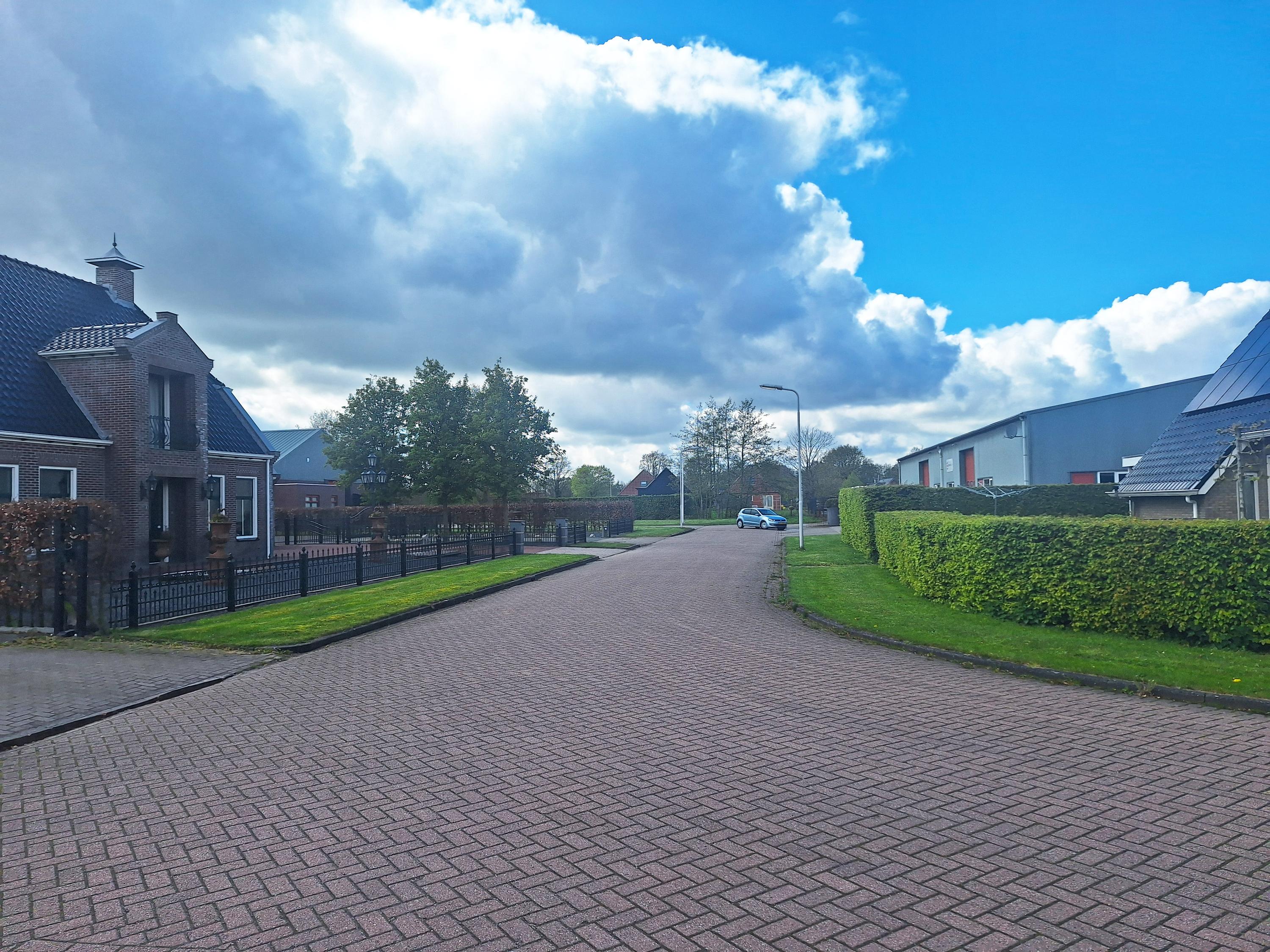 Bolster 6a Harkema - Afbeelding 7.jpg