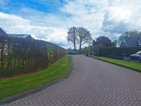 Bolster 6a Harkema - Afbeelding 12.jpg