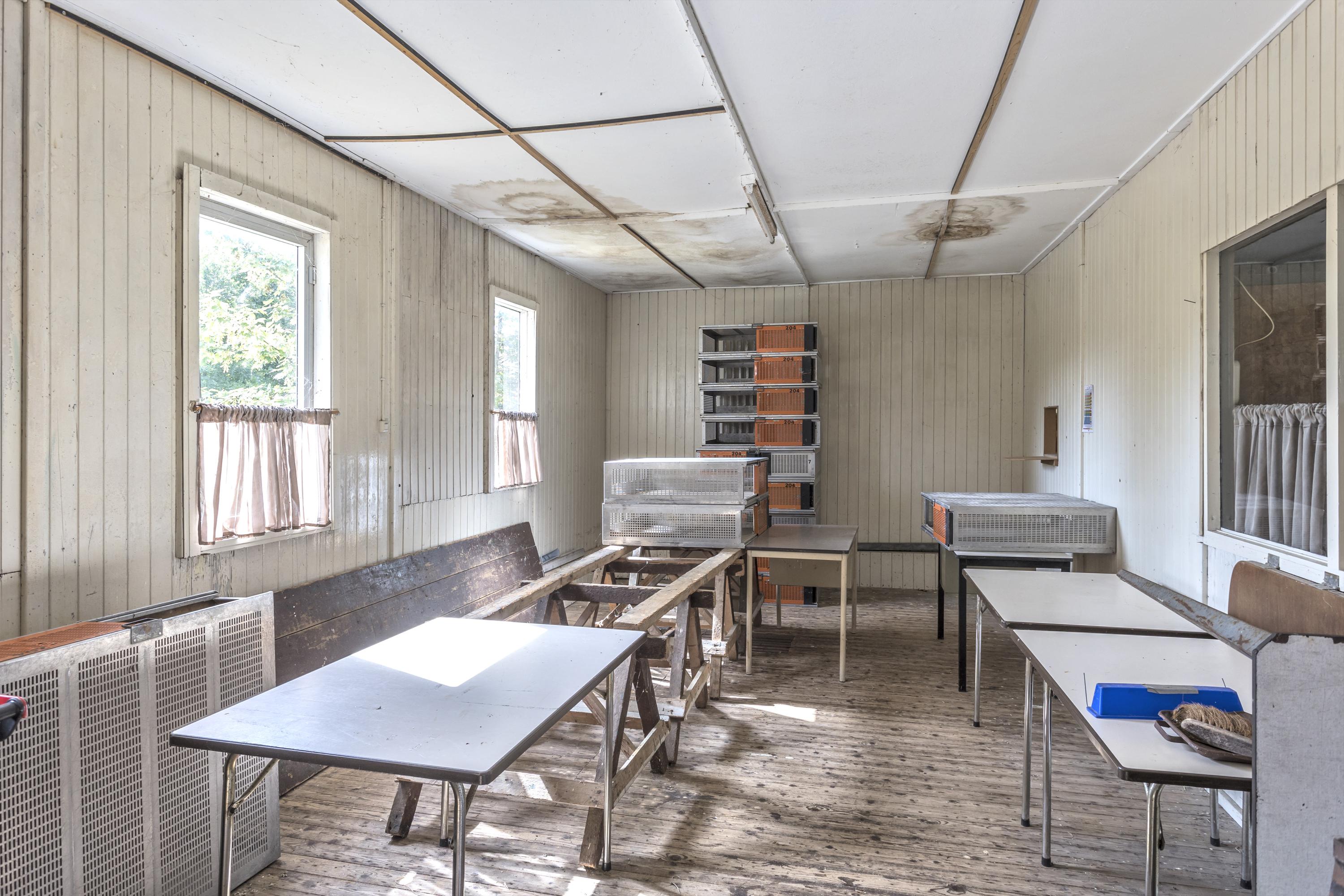 De Bosk 7 Harkema - Afbeelding 25.jpg