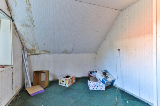 De Dellen 19 Surhuisterveen - Afbeelding 52.jpg