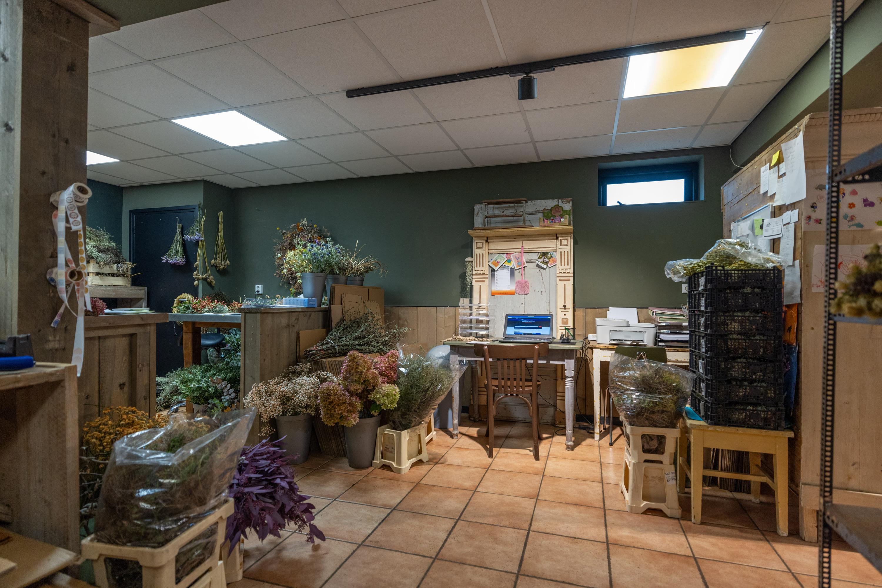 De Dellen 27 Surhuisterveen - Afbeelding 14.jpg