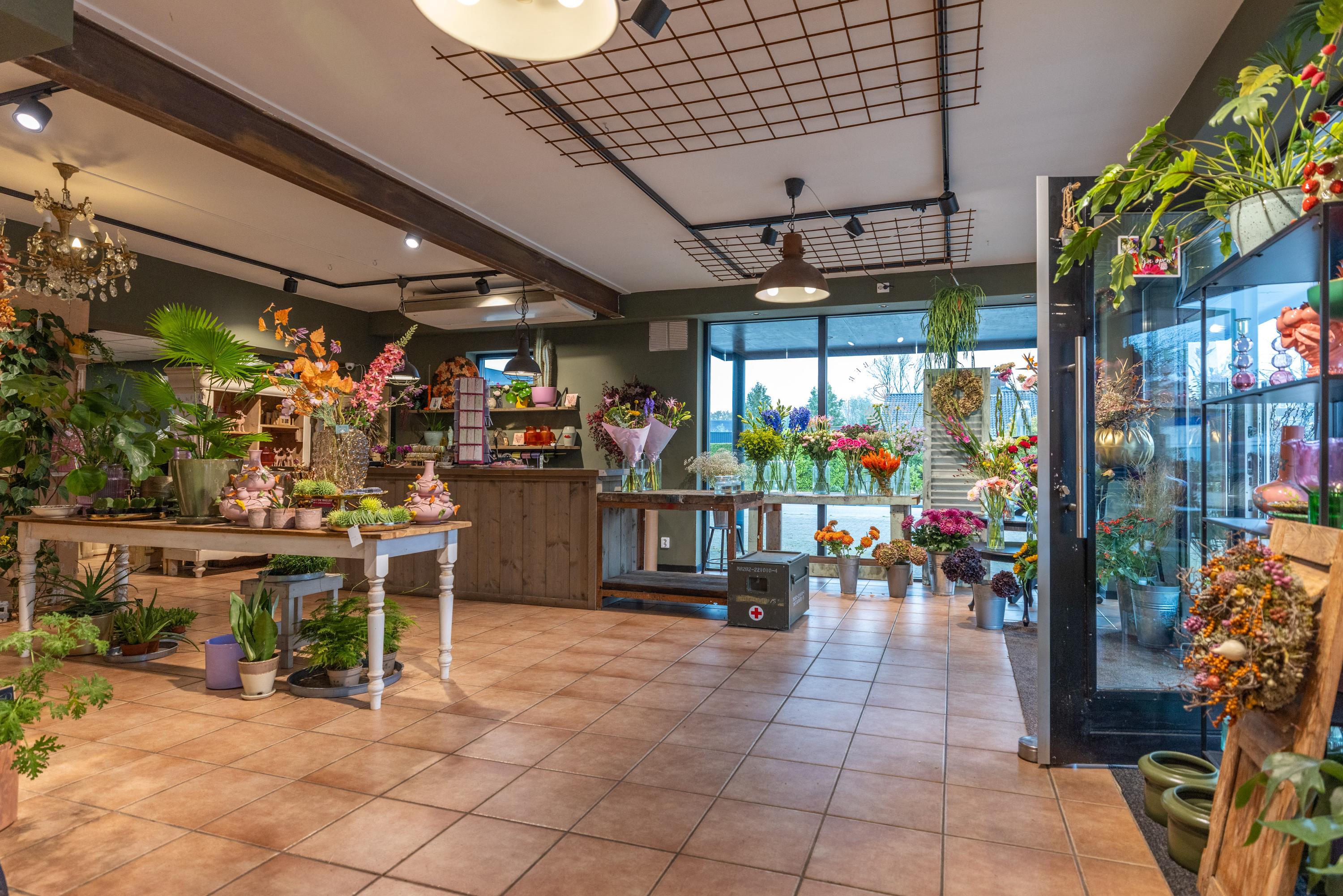 De Dellen 27 Surhuisterveen - Afbeelding 6.jpg