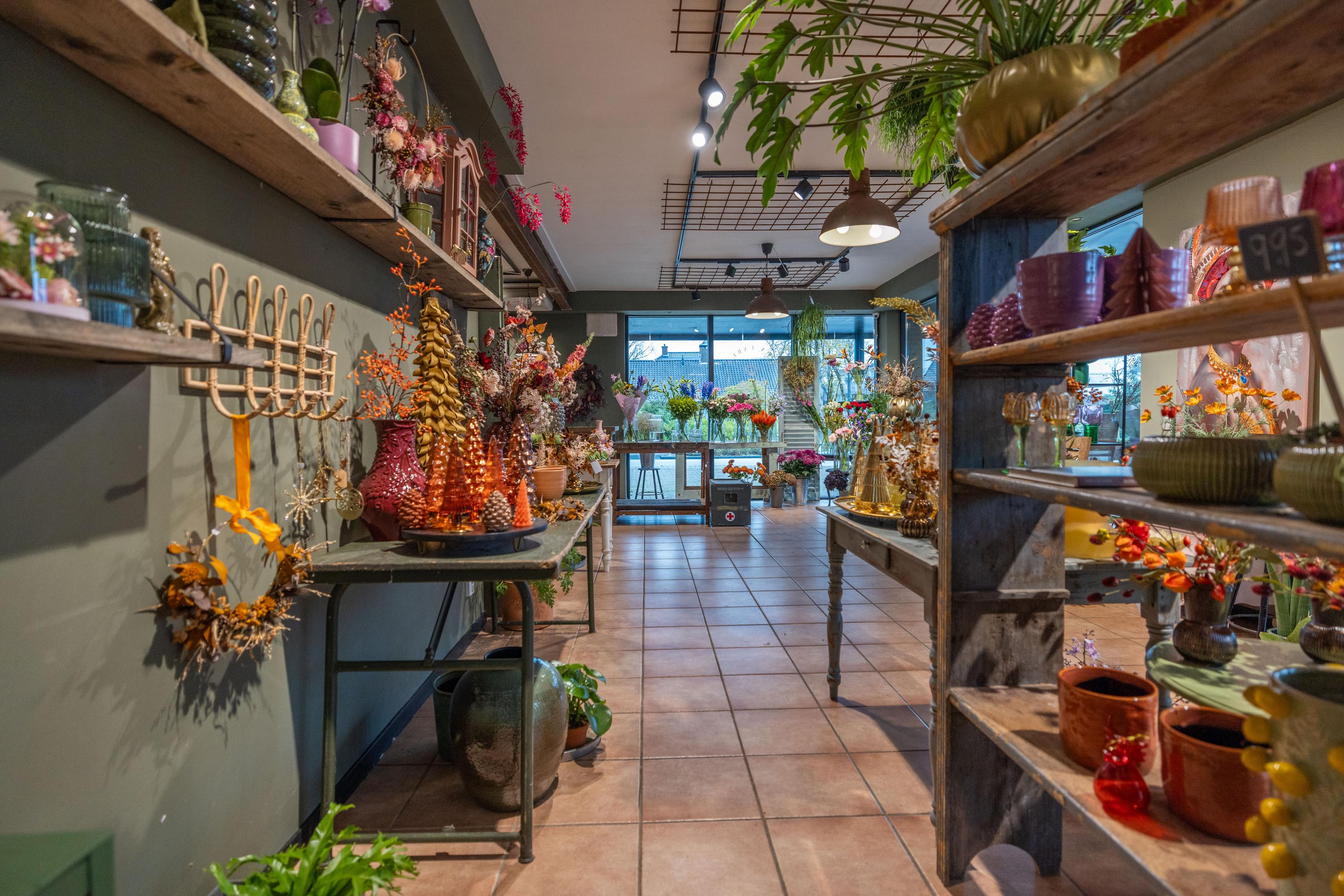 De Dellen 27 Surhuisterveen - Afbeelding 9.jpg