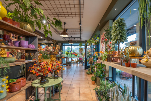 De Dellen 27 Surhuisterveen - Afbeelding 8.jpg