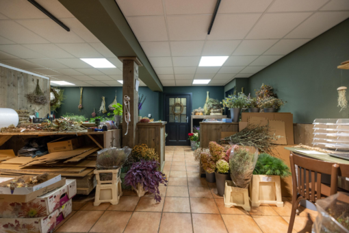 De Dellen 27 Surhuisterveen - Afbeelding 13.jpg