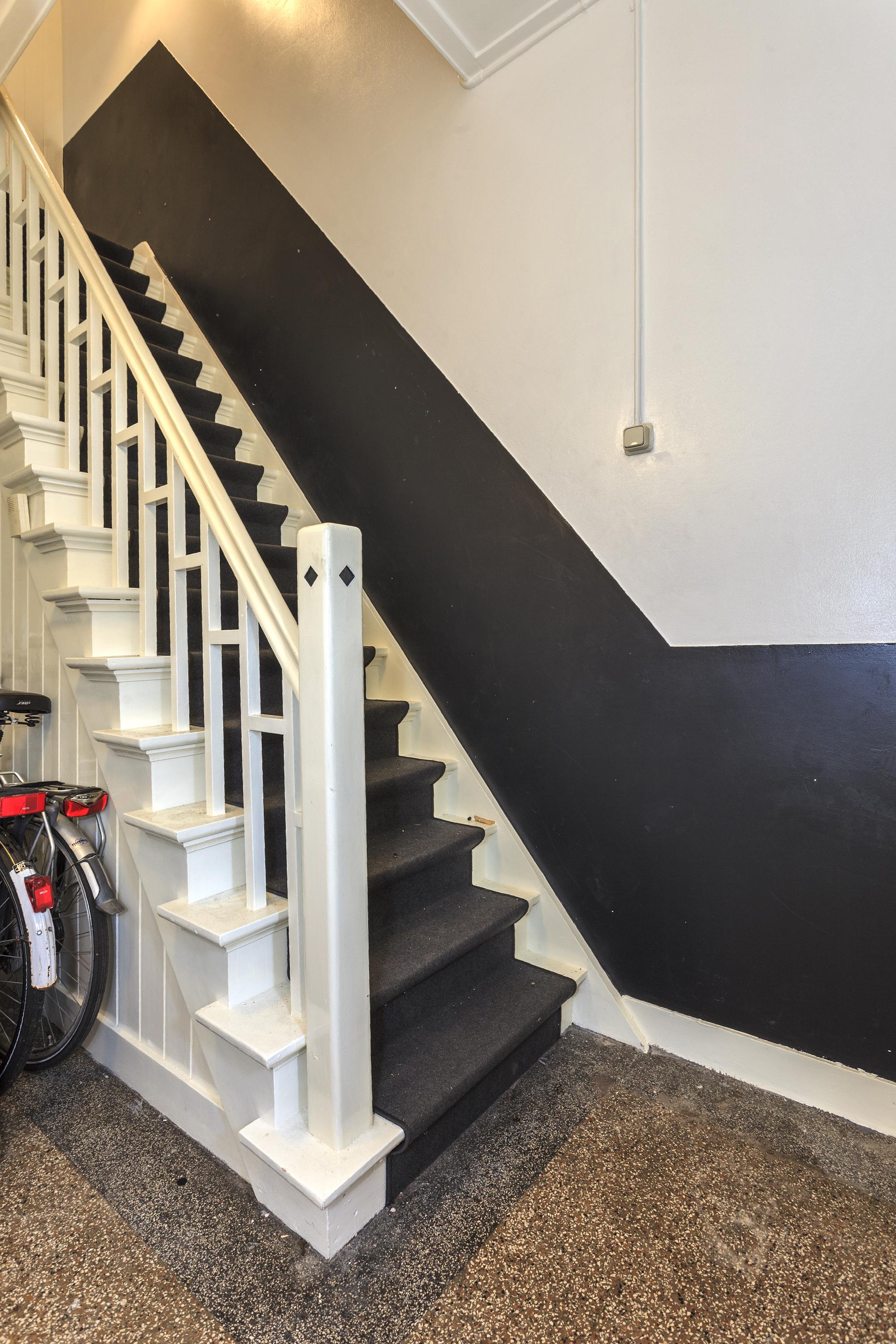 Friese Streek 29 Stroobos - Afbeelding 20.jpg