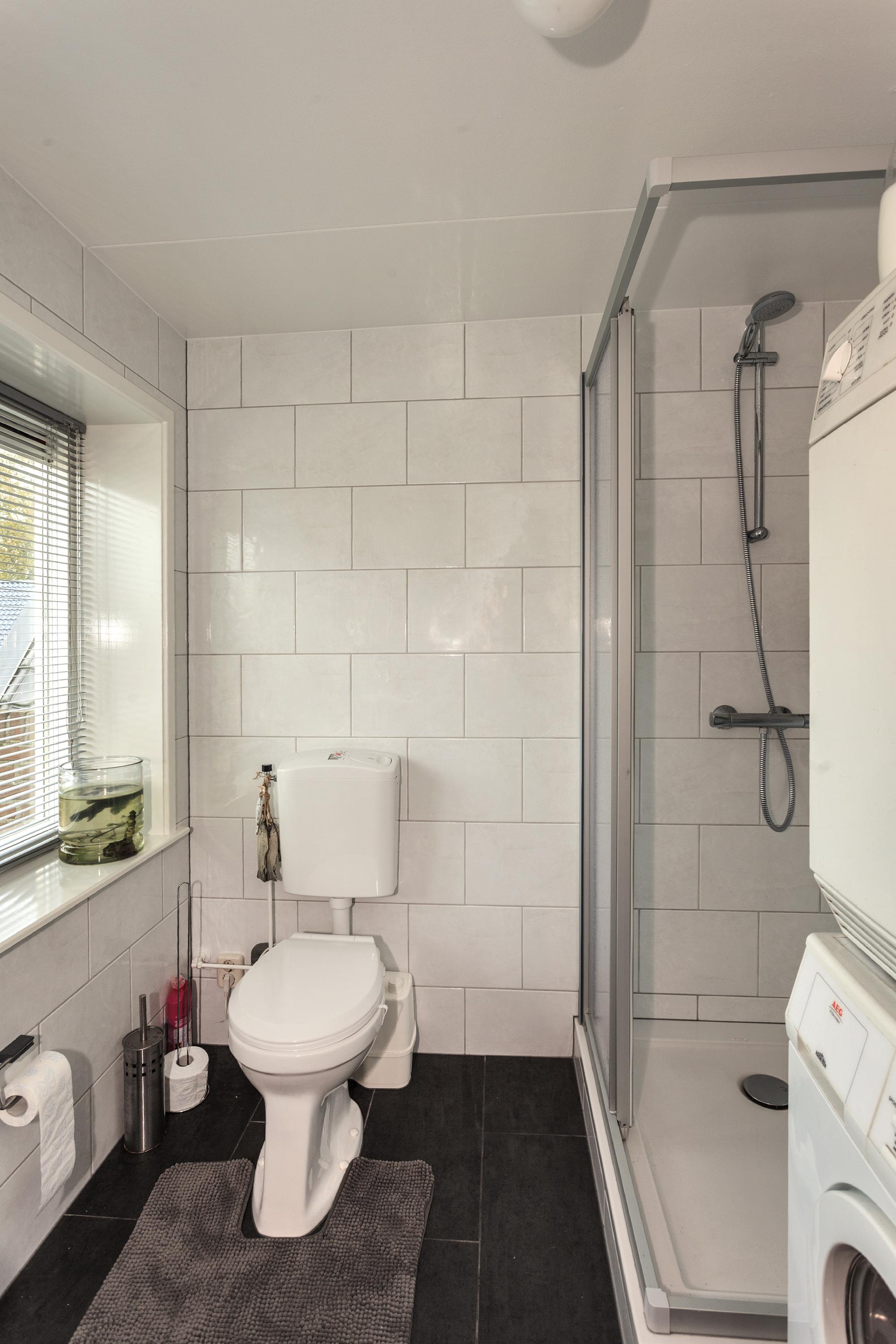 Friese Streek 29 Stroobos - Afbeelding 29.jpg