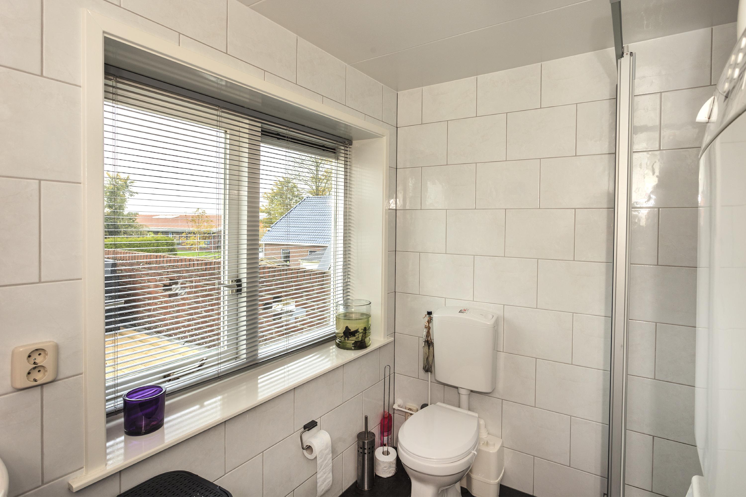 Friese Streek 29 Stroobos - Afbeelding 31.jpg