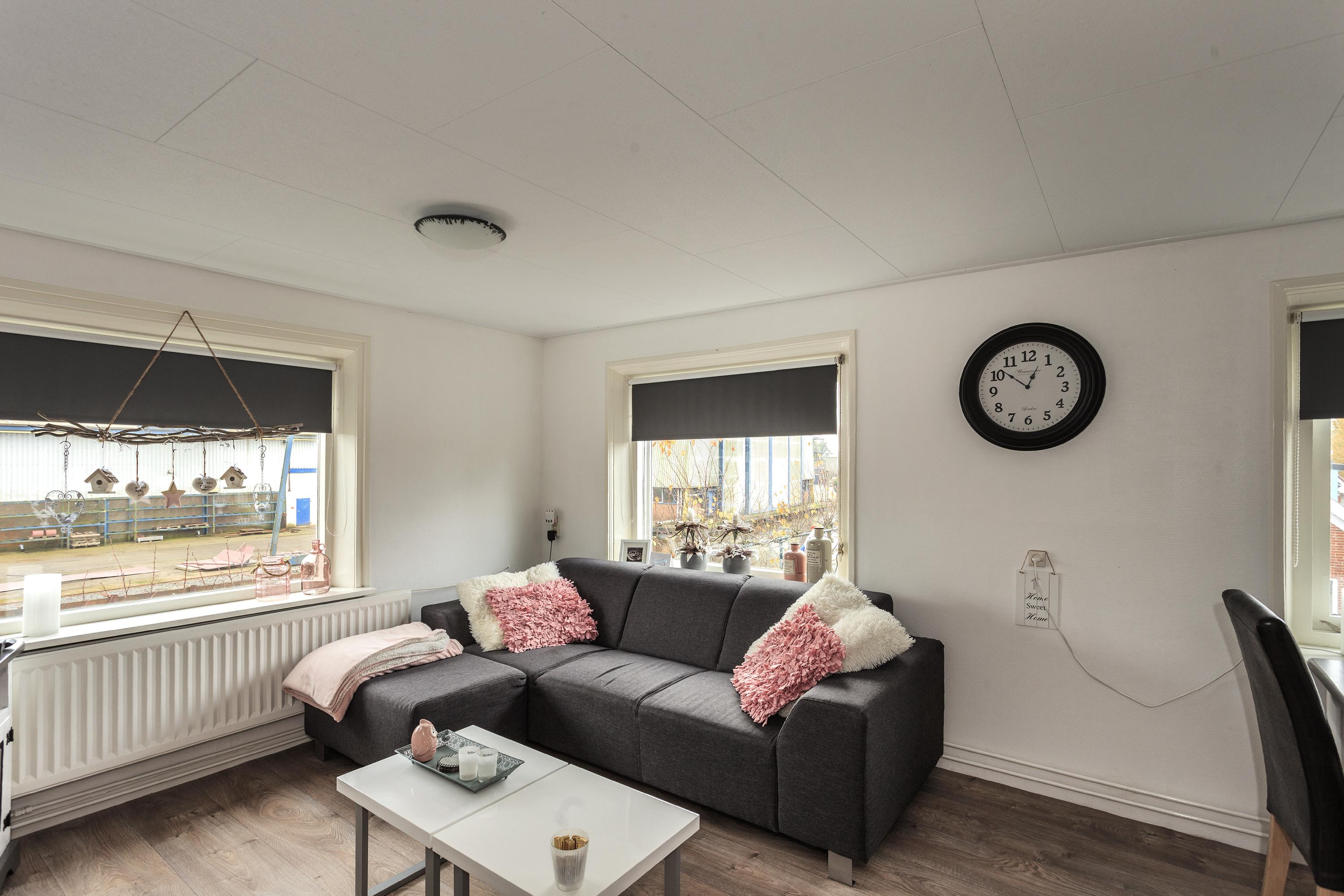 Friese Streek 29 Stroobos - Afbeelding 33.jpg