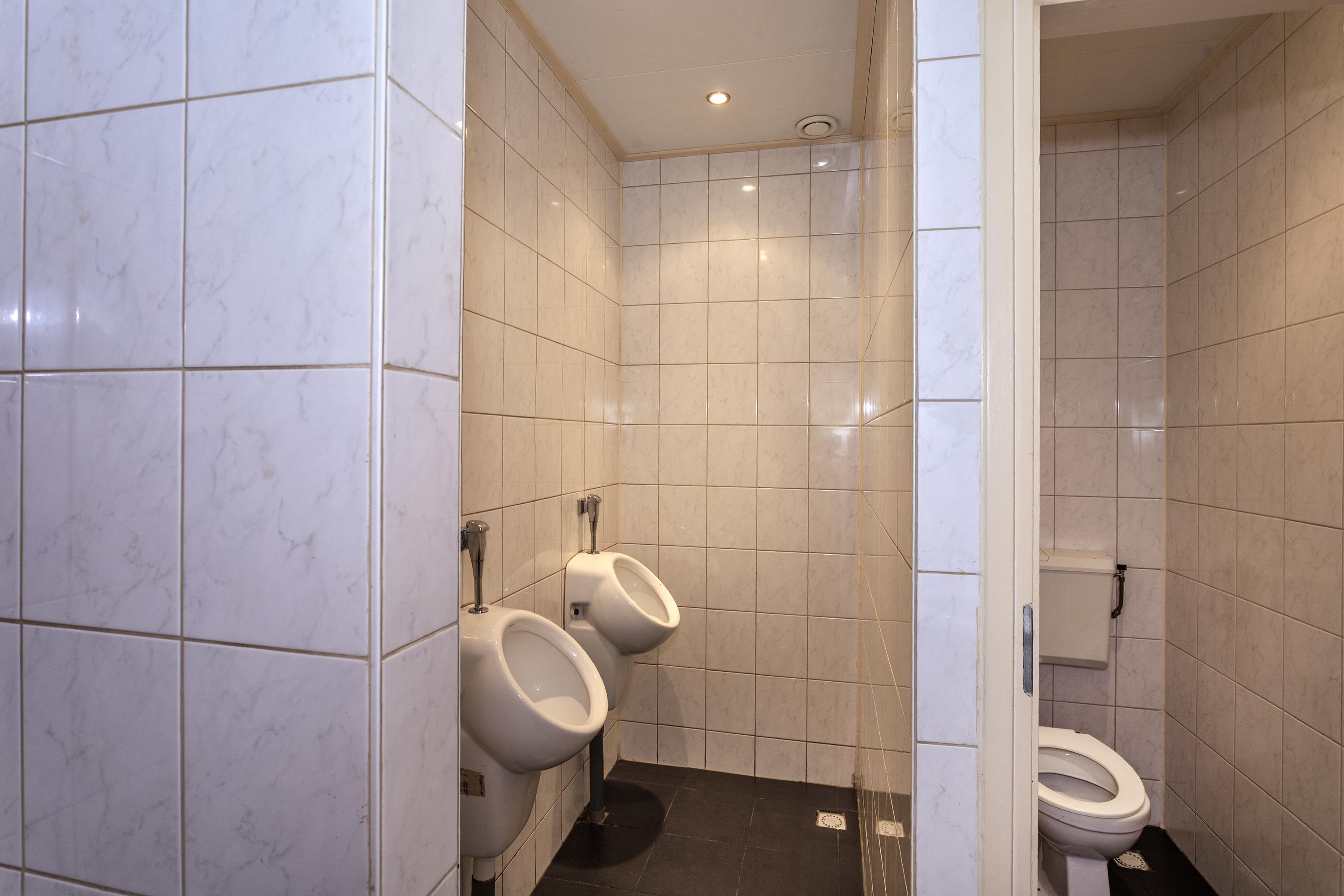 Friese Streek 29 Stroobos - Afbeelding 36.jpg