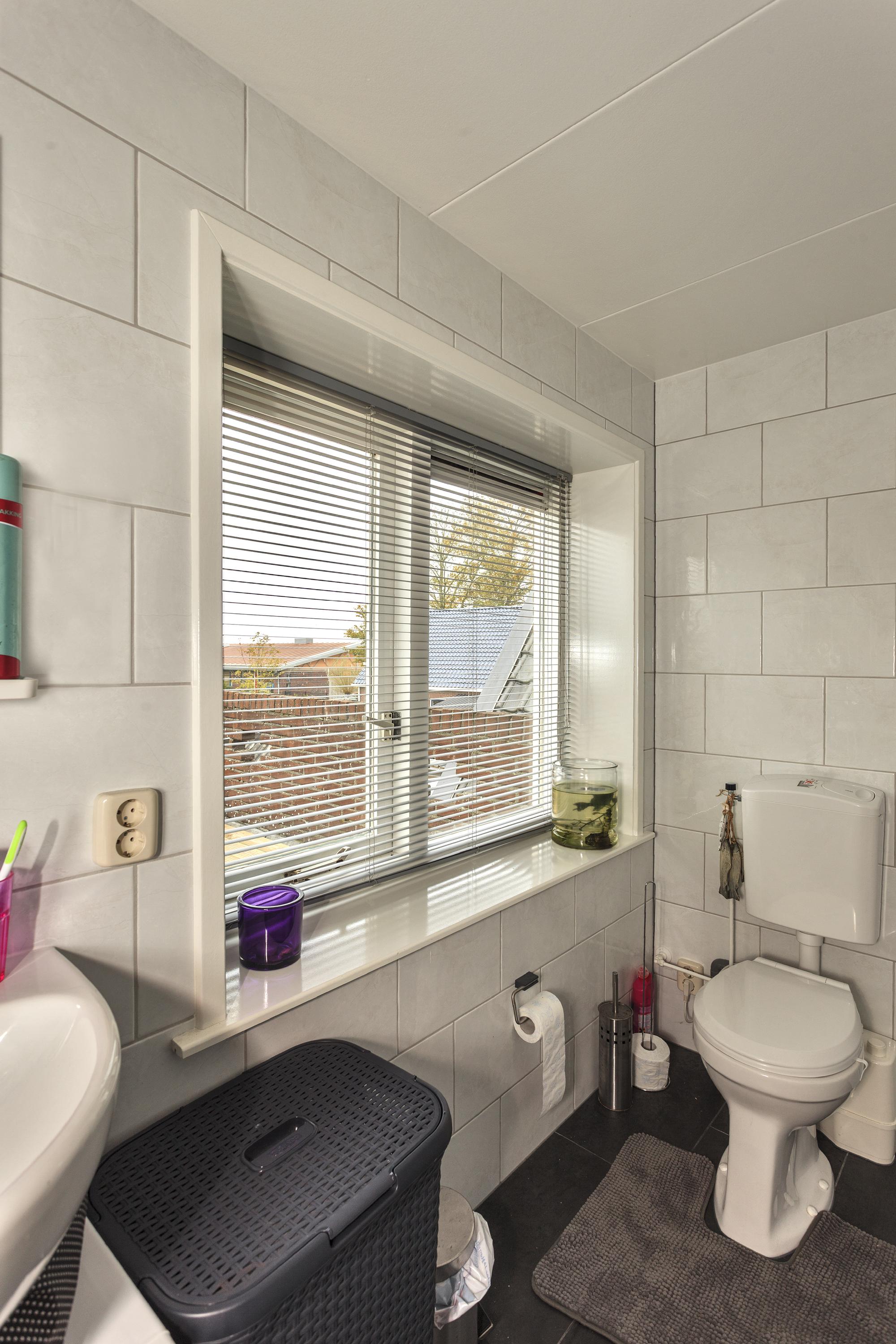 Friese Streek 29 Stroobos - Afbeelding 44.jpg