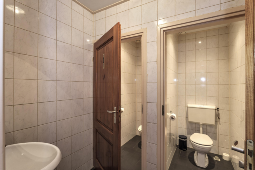 Friese Streek 29 Stroobos - Afbeelding 6.jpg