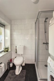 Friese Streek 29 Stroobos - Afbeelding 29.jpg