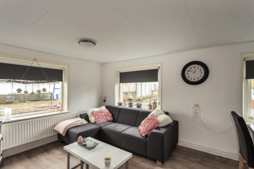 Friese Streek 29 Stroobos - Afbeelding 33.jpg