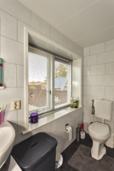 Friese Streek 29 Stroobos - Afbeelding 44.jpg