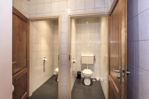 Friese Streek 29 Stroobos - Afbeelding 45.jpg