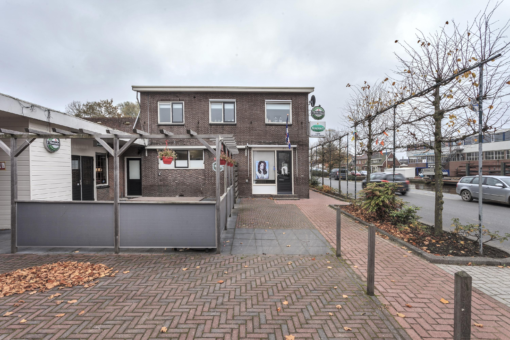 Friese Streek 29 Stroobos - Afbeelding 10.jpg