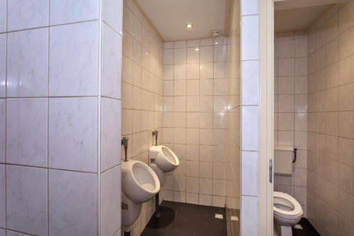 Friese Streek 29 Stroobos - Afbeelding 21.jpg