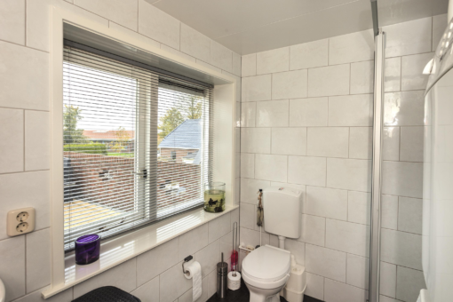 Friese Streek 29 Stroobos - Afbeelding 42.jpg