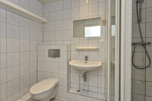 Het Breed 5 Stroobos - Afbeelding 60.jpg