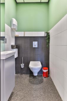 Rooilijn 3 Surhuisterveen - Afbeelding 19.jpg