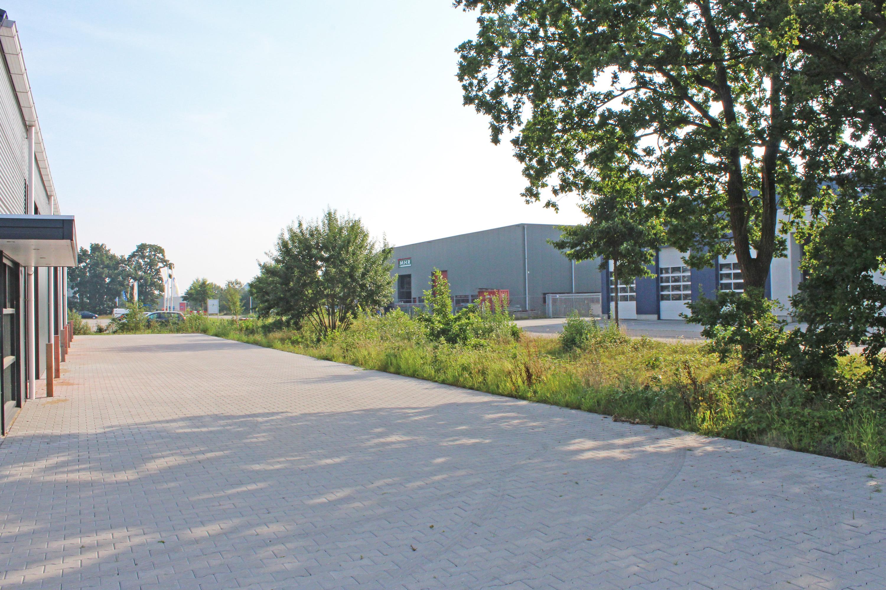 Rooilijn 8 Surhuisterveen - Afbeelding 5.jpg