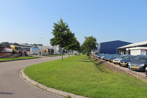 Rooilijn 8 Surhuisterveen - Afbeelding 14.jpg