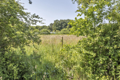 Alde Galeien 6 Boelenslaan - Afbeelding 6.jpg