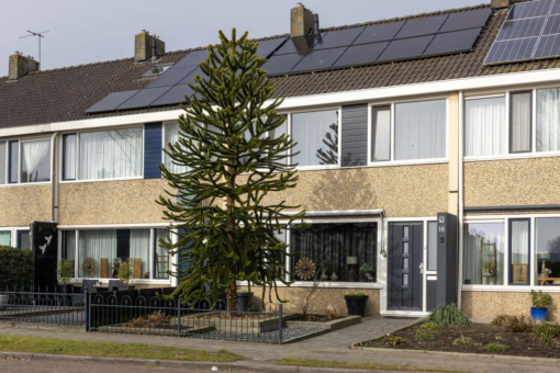 Boekweitstrjitte 16 Harkema - Afbeelding 24.jpg