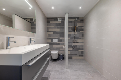 Boekweitstrjitte 64 Harkema - Afbeelding 23.jpg