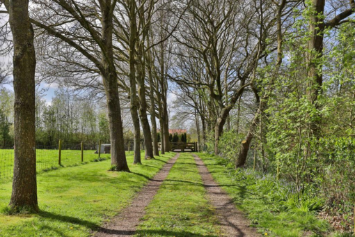 Boelenswei 80 Boelenslaan - Afbeelding 62.jpg