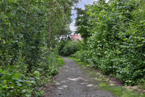 Bonhommestrjitte 20 Surhuizum - Afbeelding 45.jpg