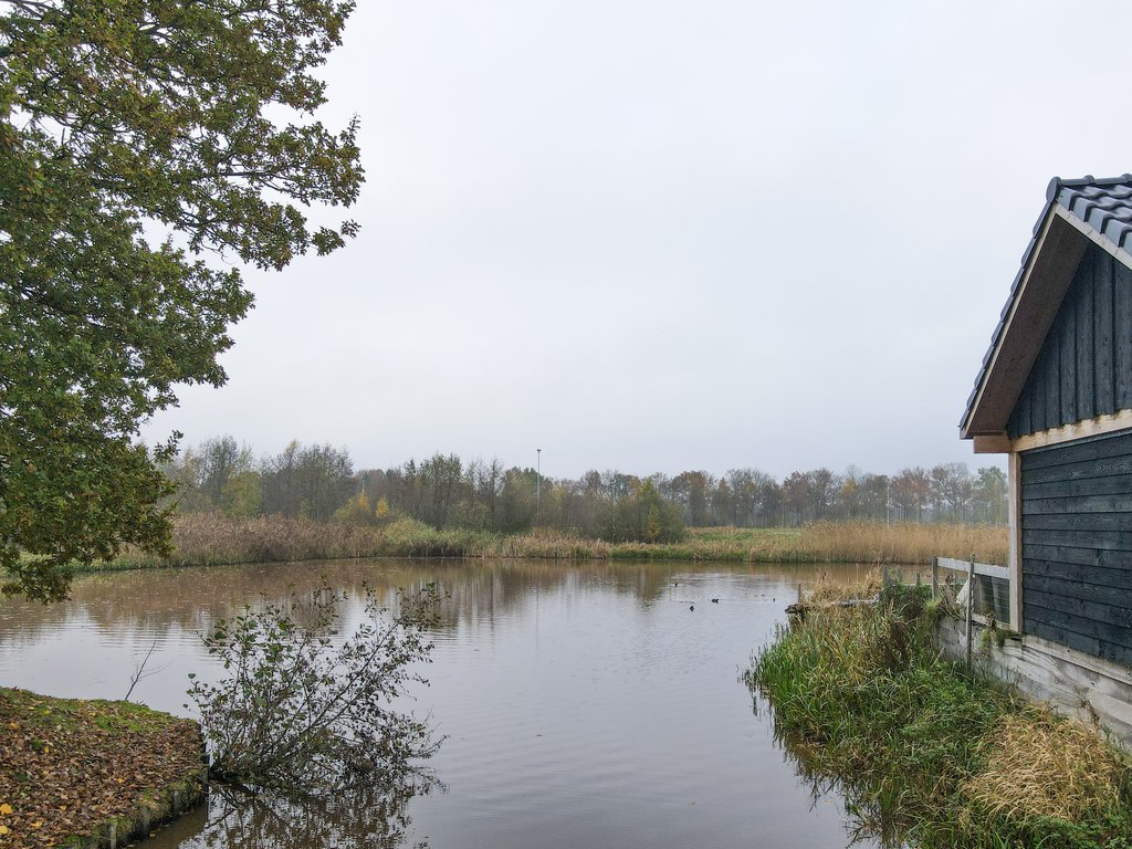 Boskbei 4 Surhuisterveen - Afbeelding 74.jpg