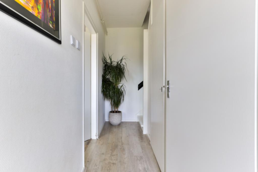 Boskkamp 32 Augustinusga - Afbeelding 6.jpg