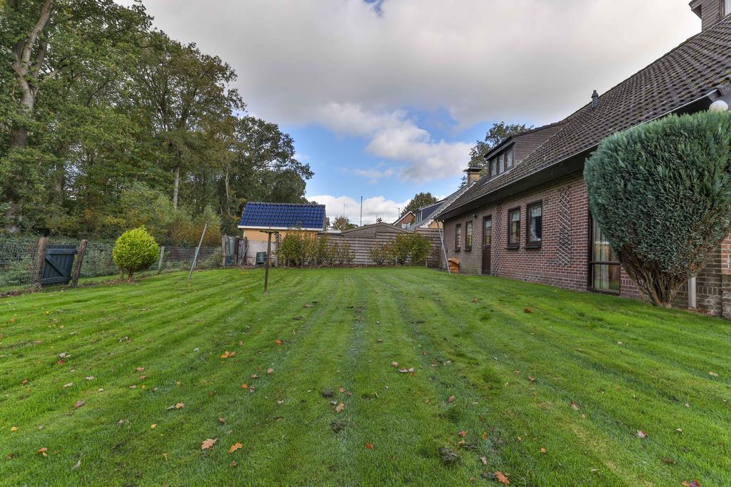 Boskkamp 61 Augustinusga - Afbeelding 46.jpg