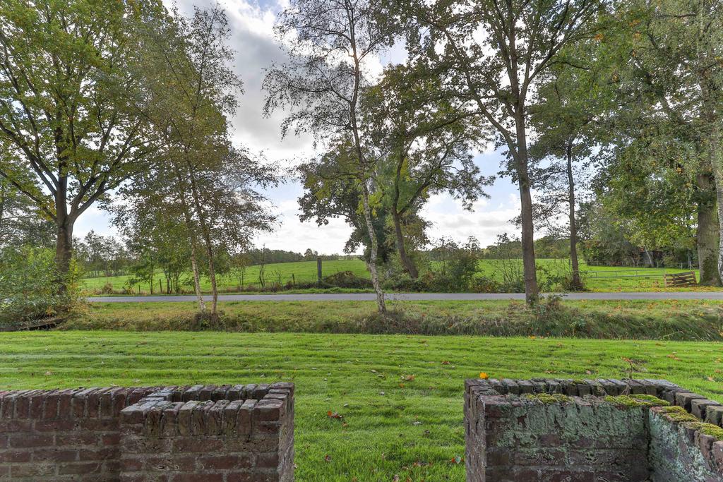 Boskkamp 61 Augustinusga - Afbeelding 50.jpg