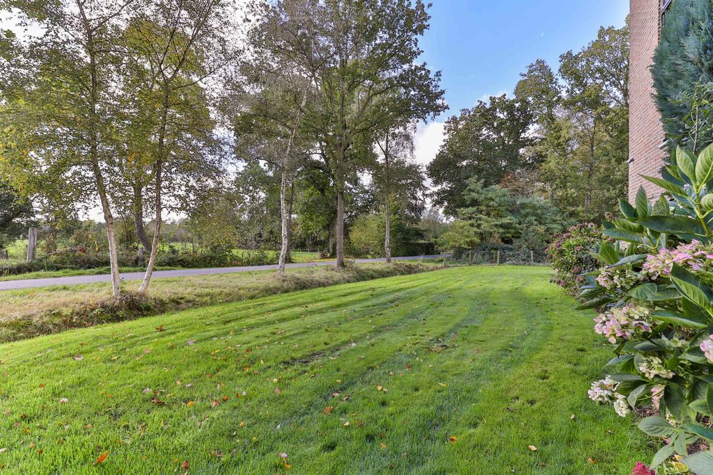 Boskkamp 61 Augustinusga - Afbeelding 53.jpg