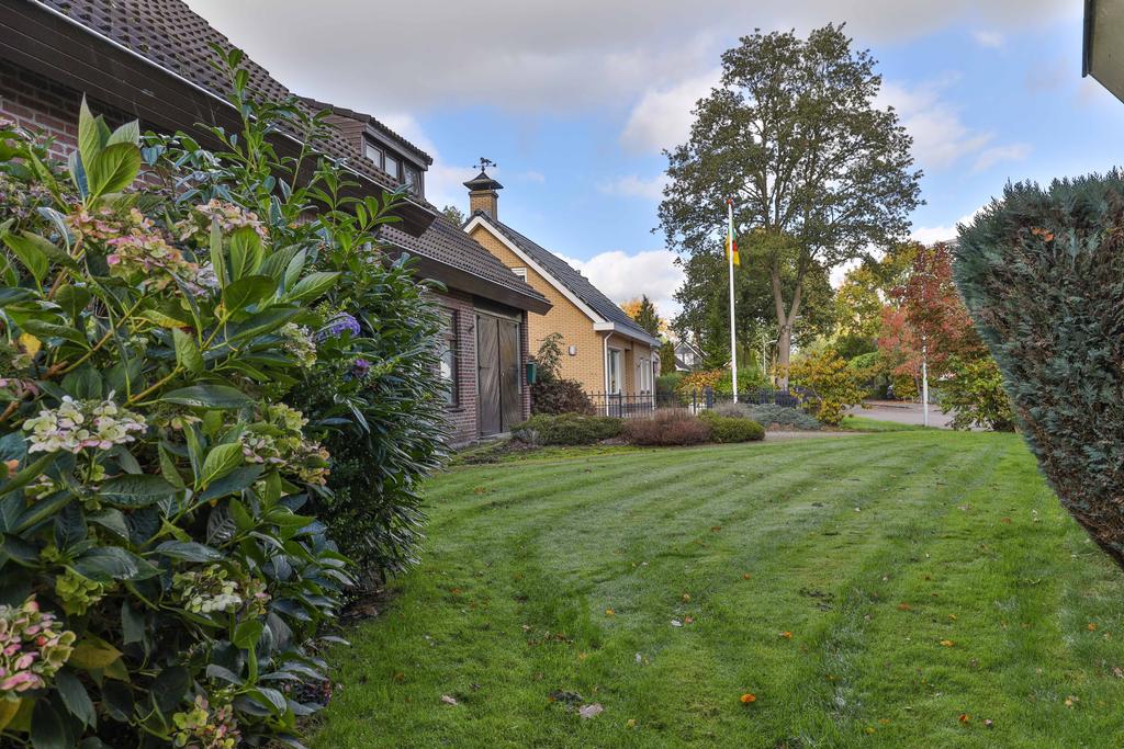 Boskkamp 61 Augustinusga - Afbeelding 56.jpg