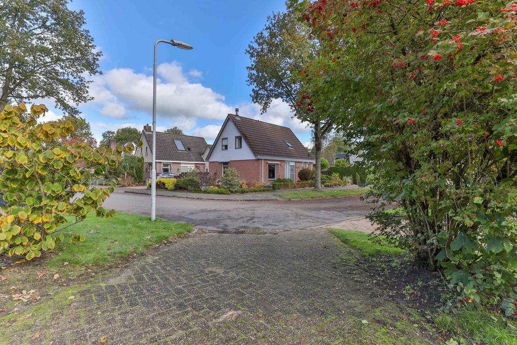 Boskkamp 61 Augustinusga - Afbeelding 57.jpg