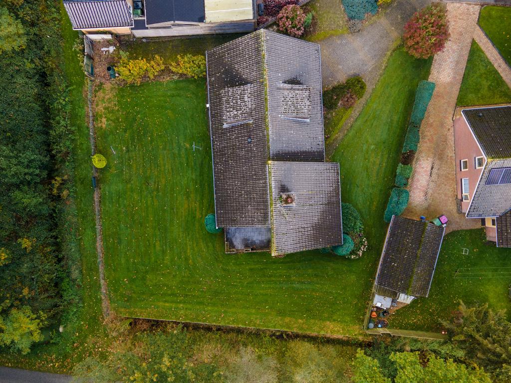 Boskkamp 61 Augustinusga - Afbeelding 60.jpg