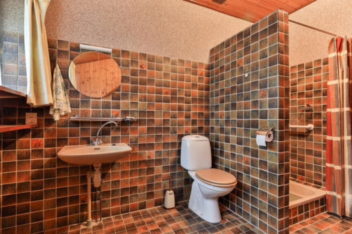 Boskkamp 61 Augustinusga - Afbeelding 42.jpg