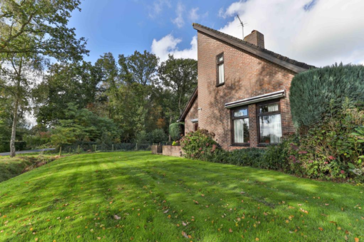 Boskkamp 61 Augustinusga - Afbeelding 49.jpg