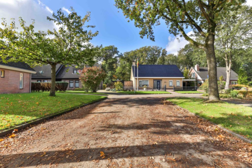 Boskkamp 61 Augustinusga - Afbeelding 51.jpg