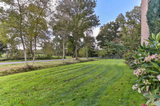 Boskkamp 61 Augustinusga - Afbeelding 53.jpg