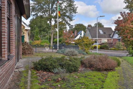 Boskkamp 61 Augustinusga - Afbeelding 54.jpg