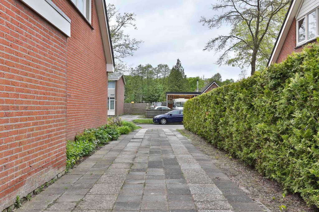 Boskkamp 9 Augustinusga - Afbeelding 9.jpg