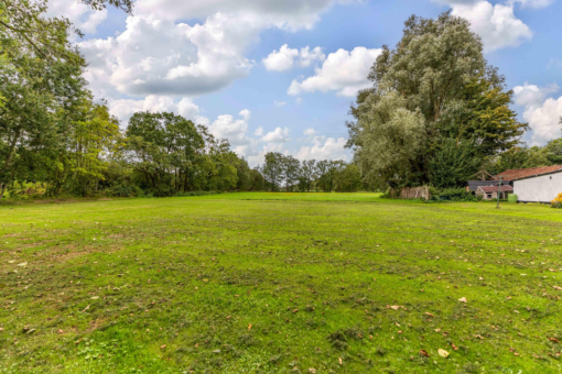 Boskwei 2 Drogeham - Afbeelding 3.jpg