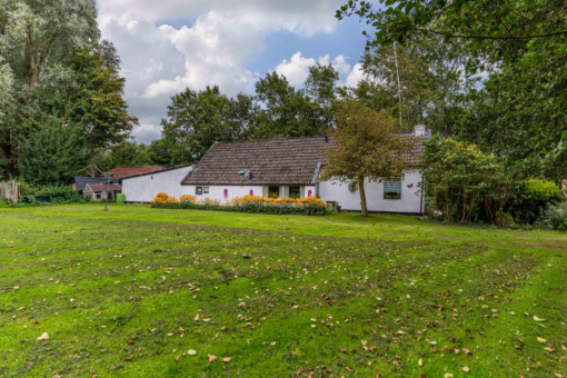 Boskwei 2 Drogeham - Afbeelding 5.jpg