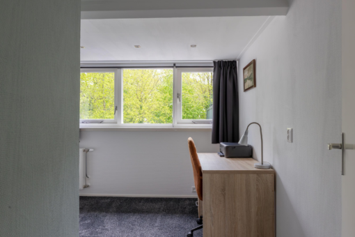 Bosselân 4 Twijzel - Afbeelding 28.jpg