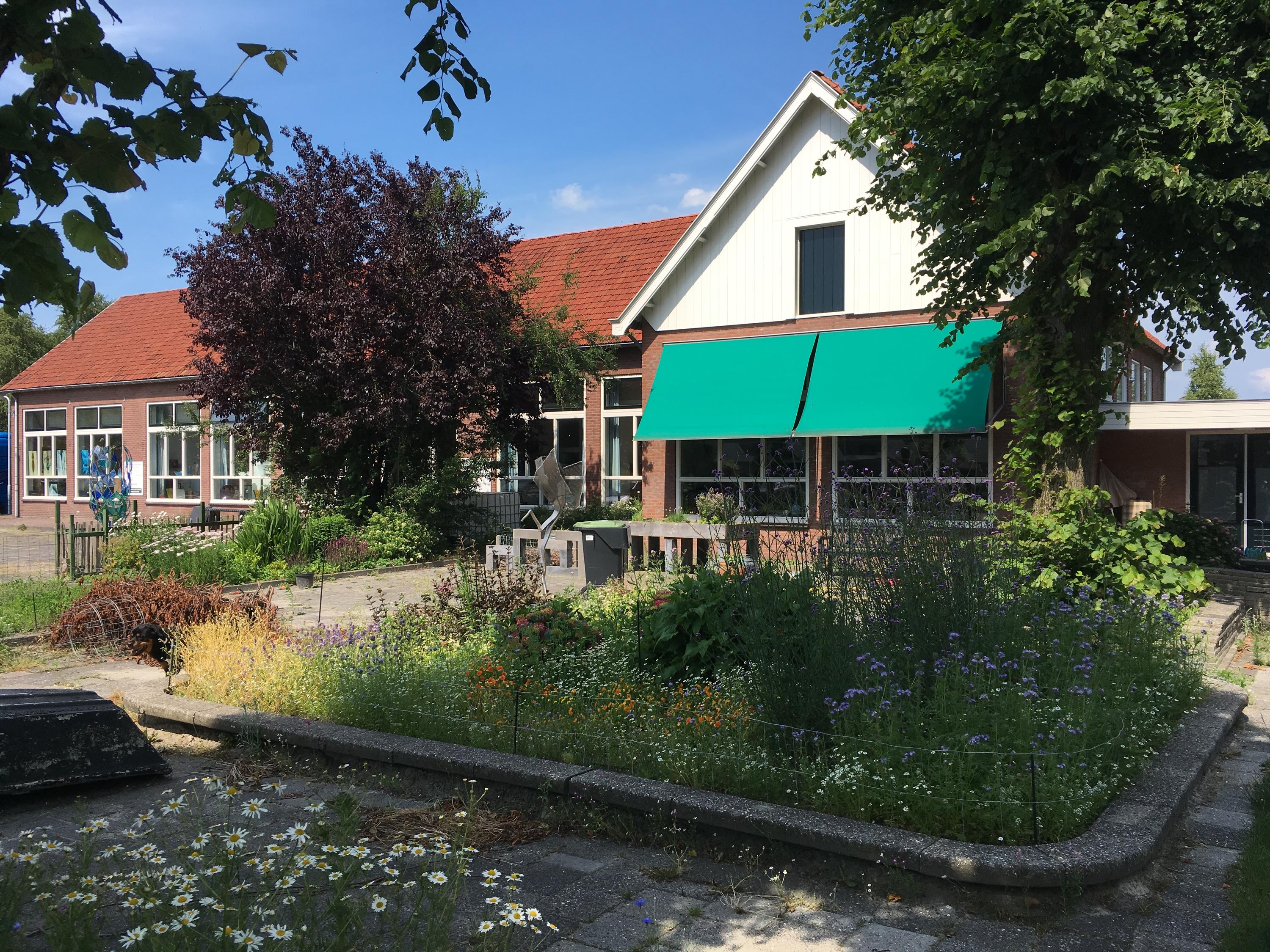 Brédyk 1 Langweer - Afbeelding 3.jpg